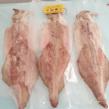 Mực Lá 1 Nắng (3-4 con/kg)